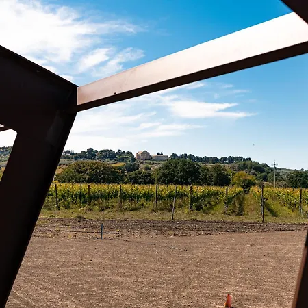 Vigne Marrone Fossacesia