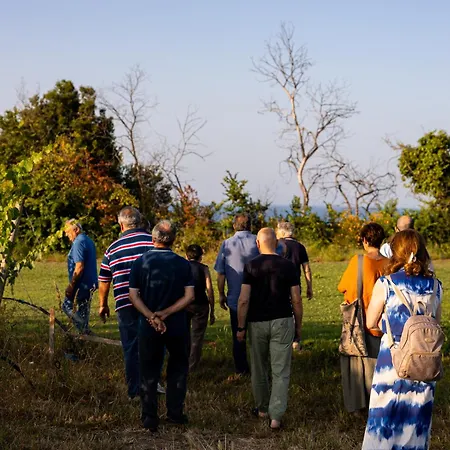 Vigne Marrone Bed & Breakfast