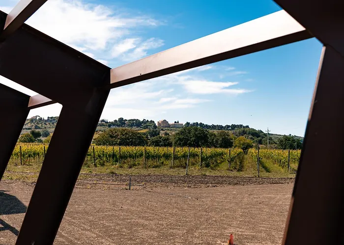 Vigne Marrone פוסאצ'סיה