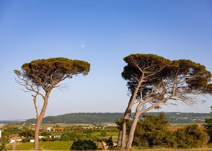 Vigne Marrone 3* פוסאצ'סיה