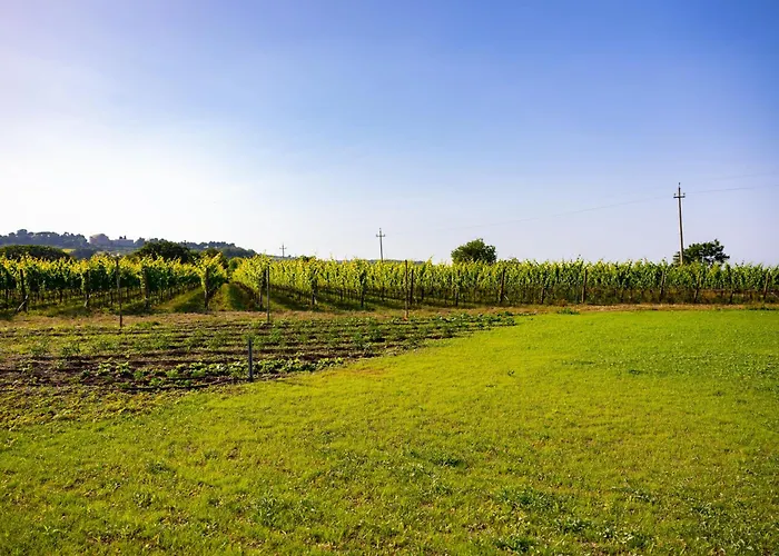 Vigne Marrone פוסאצ'סיה