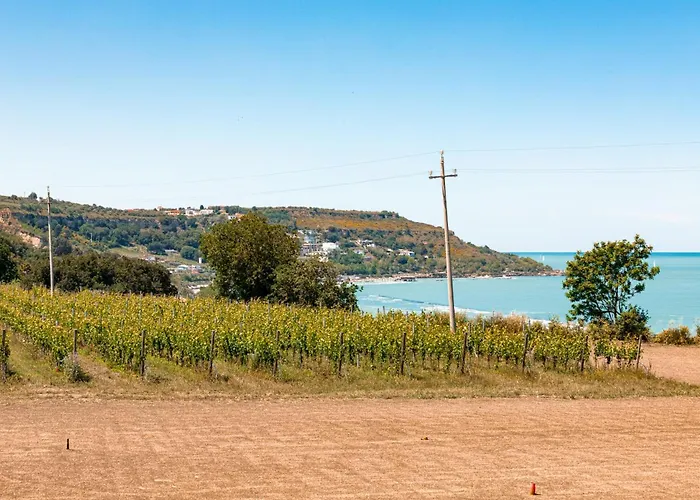 Vigne Marrone לינה וארוחת בוקר פוסאצ'סיה