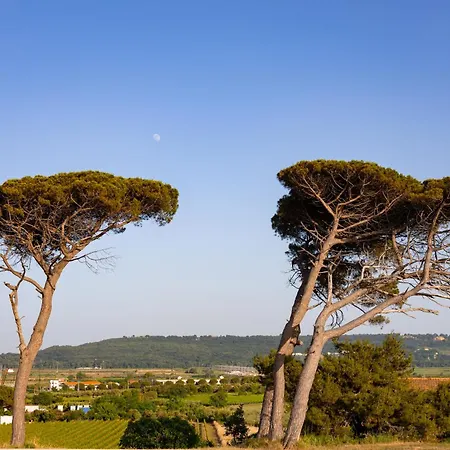 Vigne Marrone 3* Fossacesia