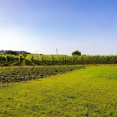 Vigne Marrone فوساتشيزيا
