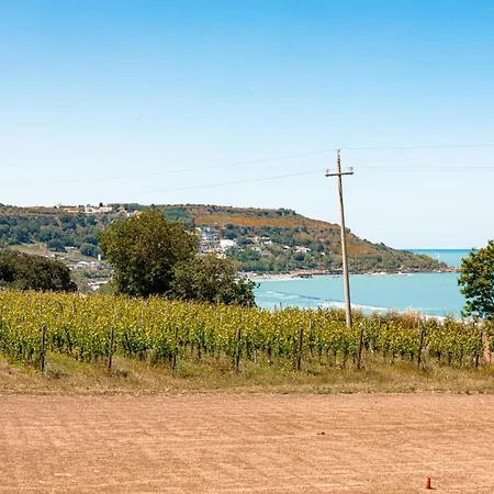 Vigne Marrone Nocleg ze śniadaniem Fossacesia