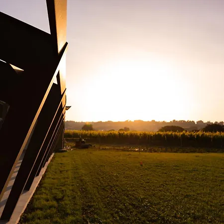 Nocleg ze śniadaniem Vigne Marrone