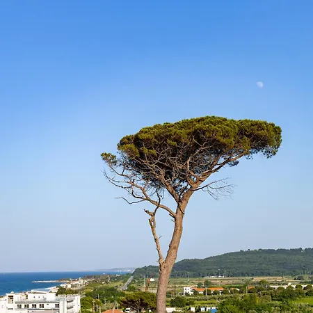 Bed & Breakfast Vigne Marrone