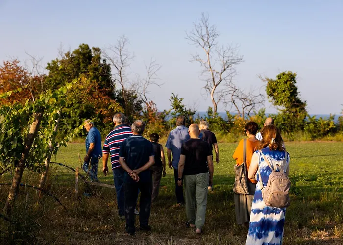 Vigne Marrone Bed & Breakfast